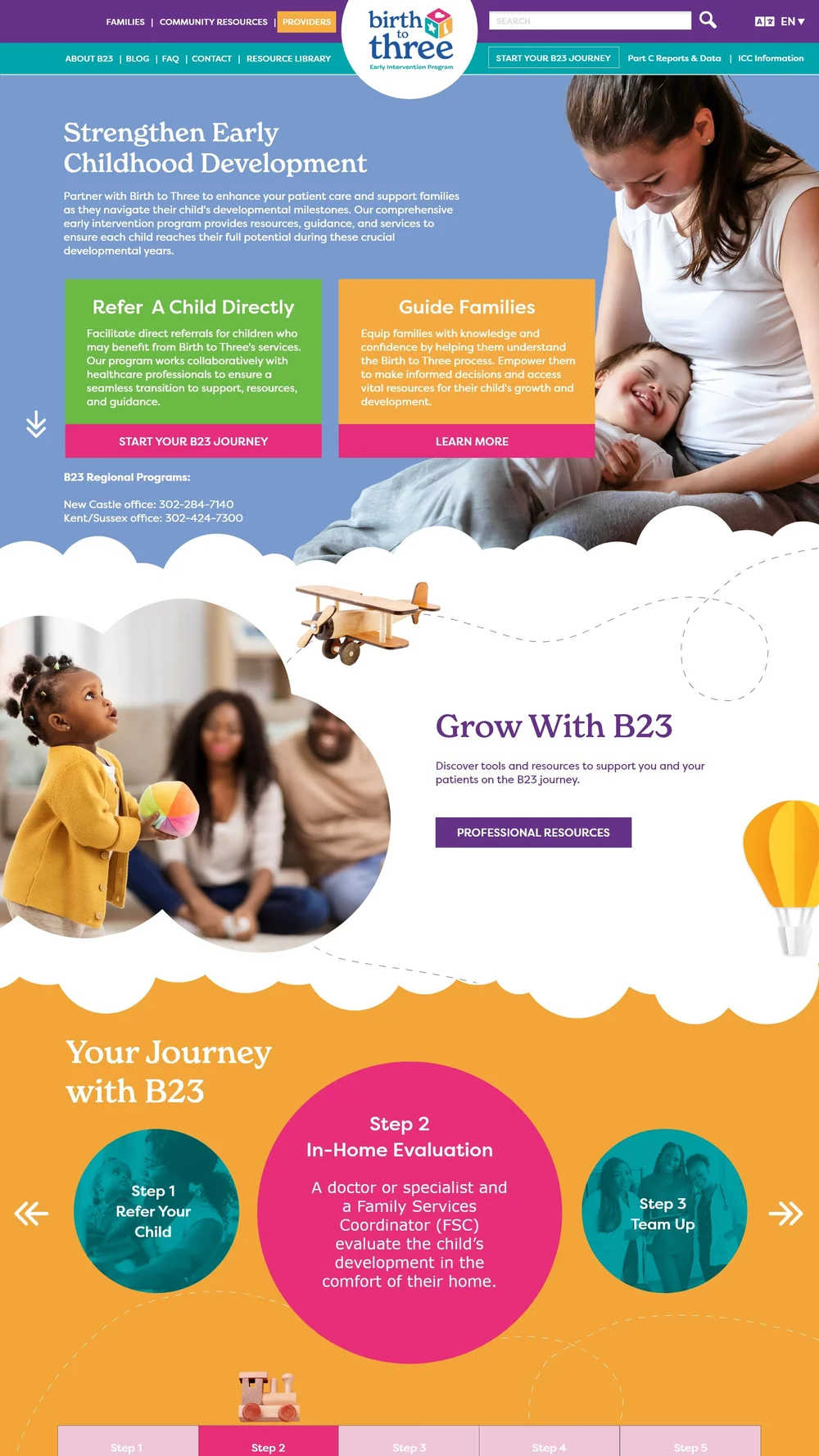 Birth to Three development assessment